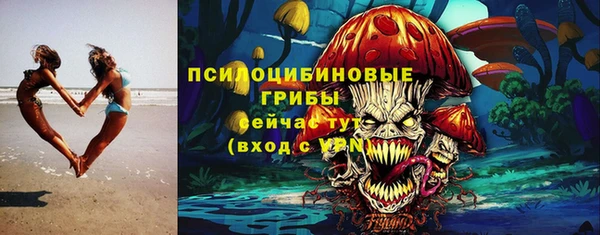 ГАЛЛЮЦИНОГЕННЫЕ ГРИБЫ Верхнеуральск