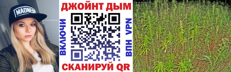 Купить закладки  Грозный  МАРИХУАНА LSD WEED 