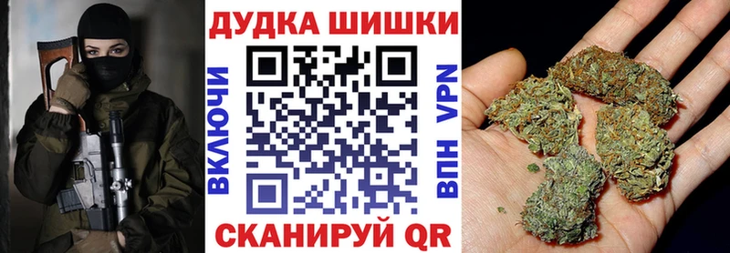 Канабис сатива Грозный